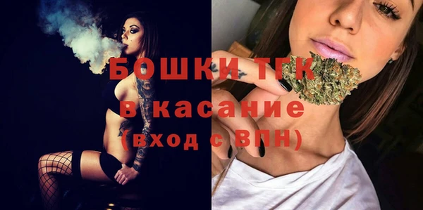 сатива Армянск