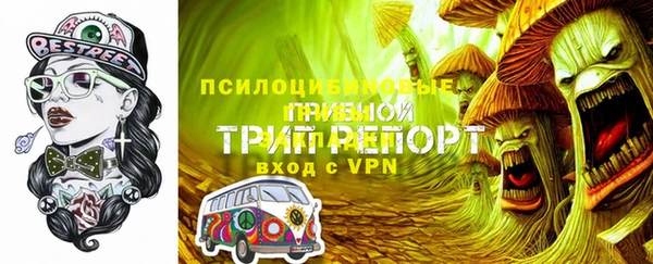 мет Арсеньев