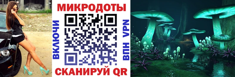 Галлюциногенные грибы Psilocybine cubensis  Уяр 